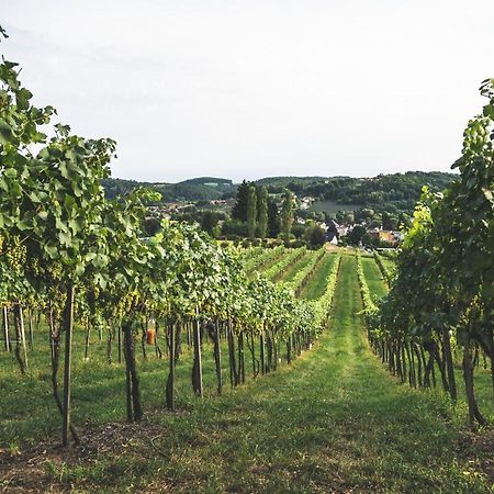 Wein & Gaestehof Erlacher Hartmannsdorf Zewnętrze zdjęcie